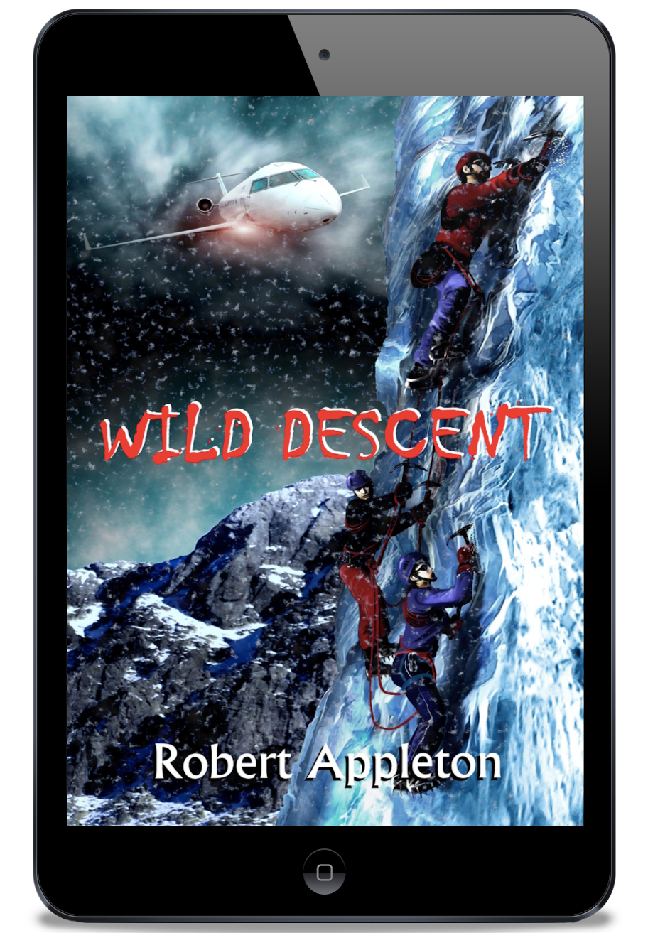 Wild Descent (Beyond Limits #2) - eBook Edition