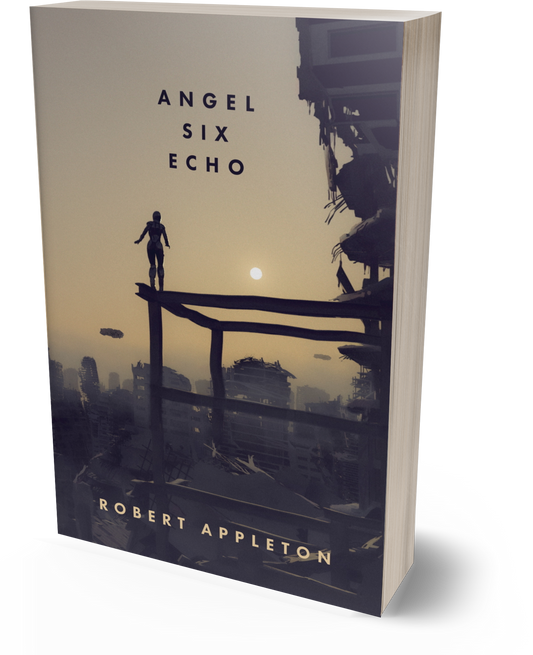 Angel Six Echo - Paperback Edition